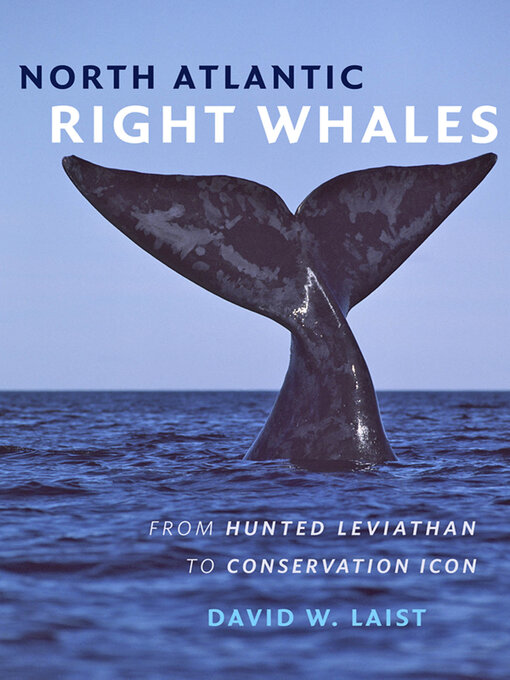 Cover image for North Atlantic Right Whales